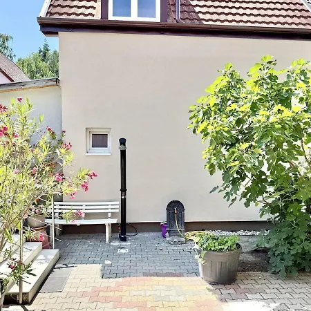 Lelle Udvar 4 Ac Free Parking *